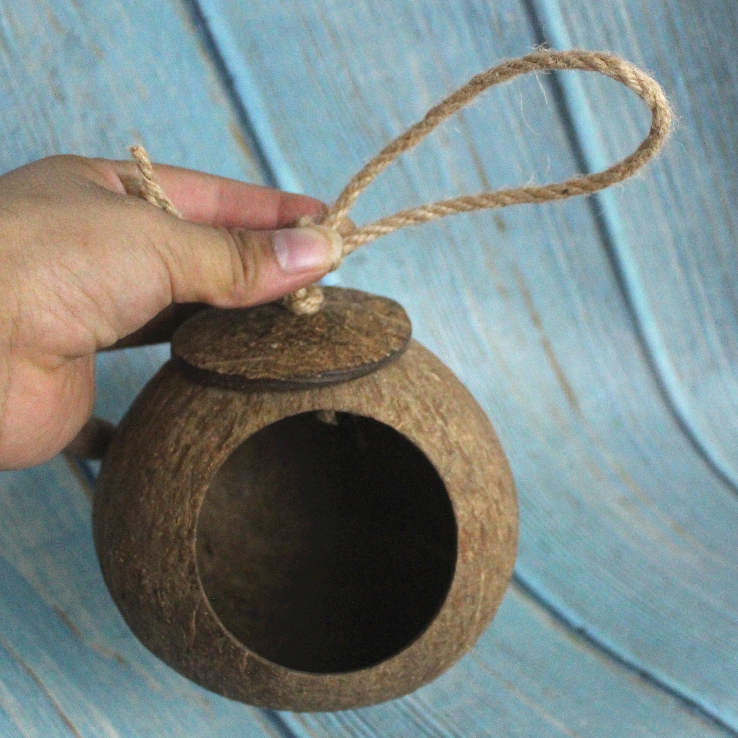 仓鼠保暖椰子窝金丝熊窝松鼠窝蜜袋鼯窝金丝熊窝椰壳鹦鹉鸟窝包邮,宠物/宠物食品及用品,窝,淘宝优惠券,粉丝福利购,淘宝优惠卷