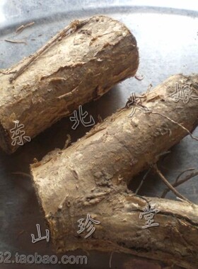 长白山 野生柞木根，柞树根 产自原始森林，百年以上老柞树