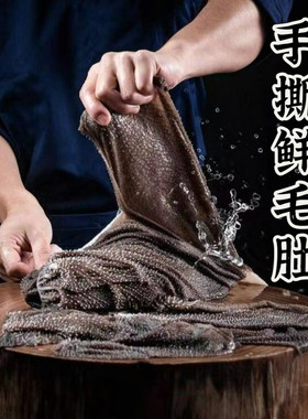 毛肚火锅屠宰场鲜毛肚四川火锅