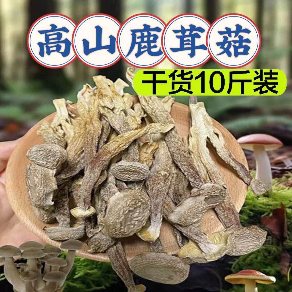 鹿茸菇干货10斤餐饮商用火锅食材煲汤干菌子土特产鹿茸菌香菇菌汤