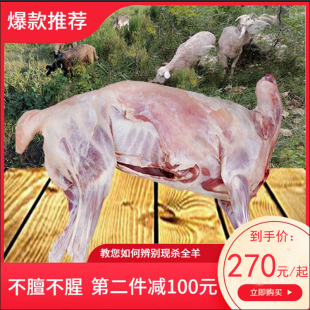 河南羊肉新鲜整羊30斤一头羊生鲜活羊羊羔现杀羊整只活肉羊全包邮