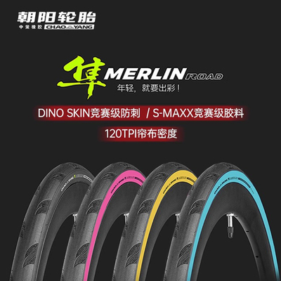 CHAOYANG隼H-496公路车折叠外胎