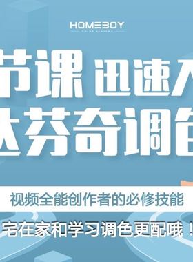 8节入门达芬奇调色