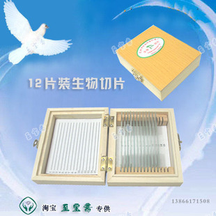 显微镜生物切片标本套装12片装 普教类 科普材料 生物玻片