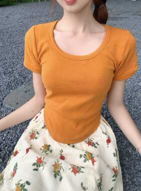 8色短袖T恤2024夏季新款女装U领修身百搭设计感小众纯色正肩上衣