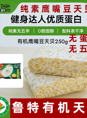 鲁特有机天贝素食天贝黄豆丹贝纯素植物肉印尼风味Tempeh纯素天贝