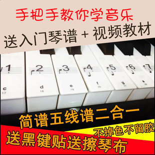 钢琴电电子琴键盘贴纸透明贴简谱88键61键54键自学考级自学五线谱