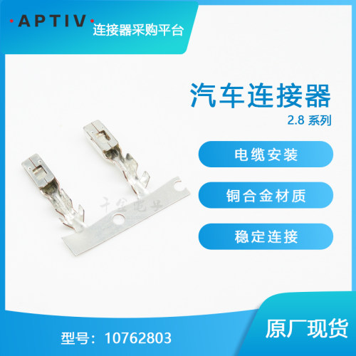 10762803端子批量供应