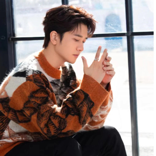 明星同款穿搭冬季三股加厚羊绒衫男青年圆领花色针织毛衣慵懒风潮