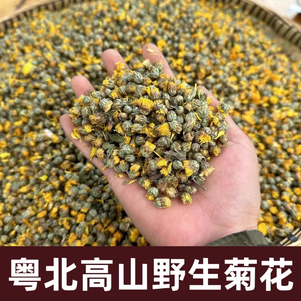 粤北野生干货菊花野生纯天然干货中药材纯正天然胎菊干品菊花茶,传统滋补营养品,其他药食同源食品,淘宝优惠券,粉丝福利购,淘宝优惠卷