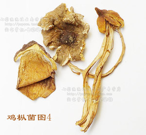 野生鸡枞菌精品正宗蚁鸡枞干货50克云南三塔菌鸡枞菇鸡棕菌蘑菇