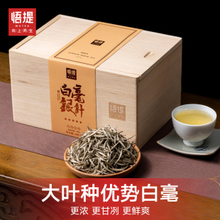 悟提茶叶云南白茶2025年高山白毫银针景谷大白毫月光白礼盒装500g