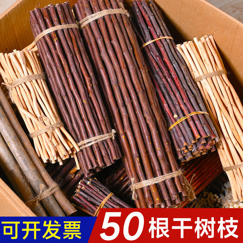 干树枝木棍树干装饰diy手工材料幼儿园美工区环创装饰松果树干摆