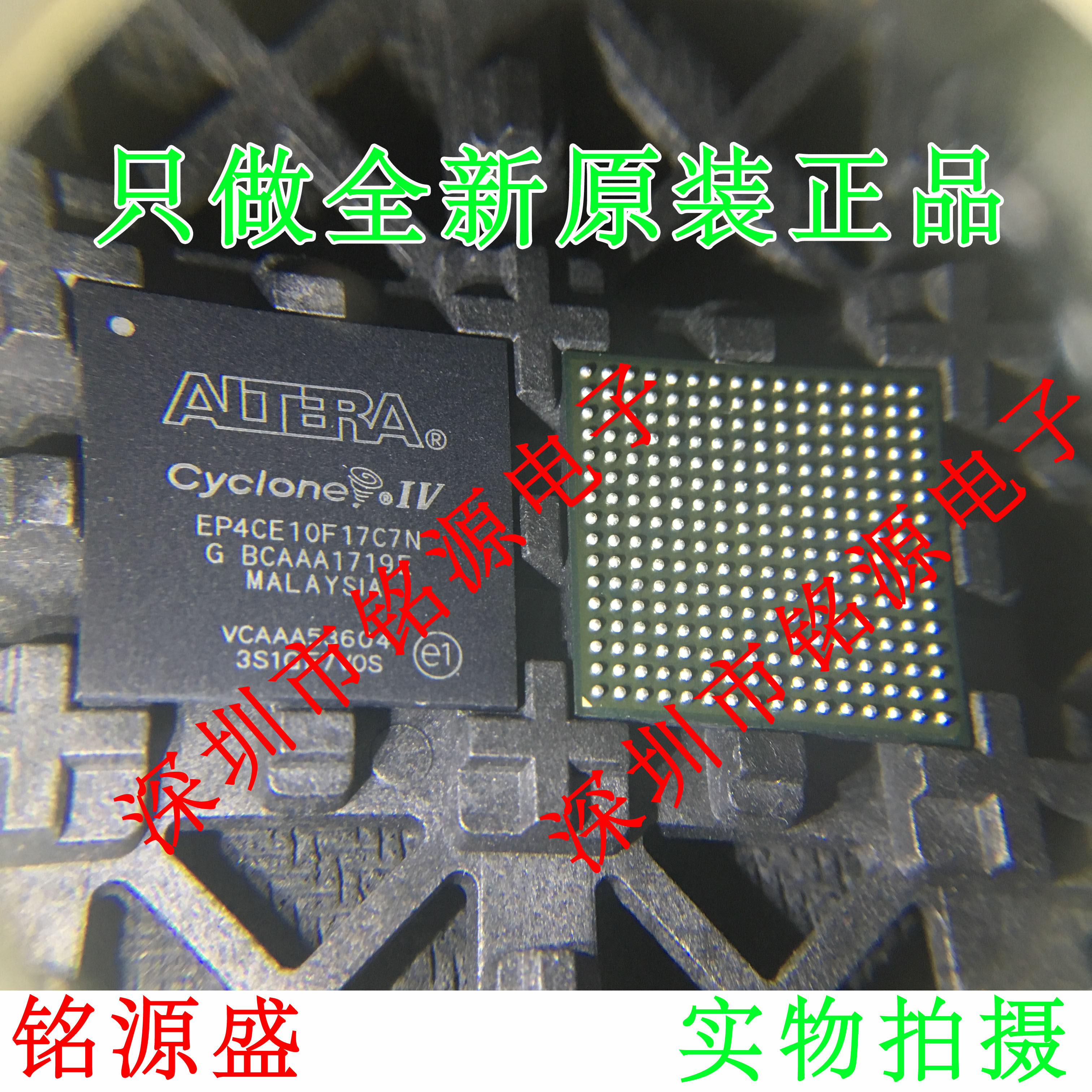 铭源盛 全新原装正品 EP4CE10F17C7N EP4CE10F17C7 BGA256 芯片