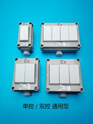 松大防爆开关220v10A墙壁单开双开三开四开BQM-10明装86型单双控