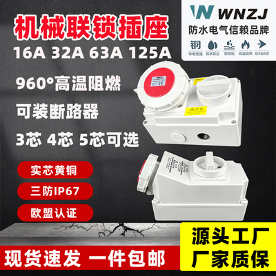 欧标航空工业机械联锁插座码头船用冷藏水密防水空开机械连锁插座