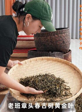 【2026头春老班章】古树普洱生茶黄金叶200克饼茶农自产，可定制