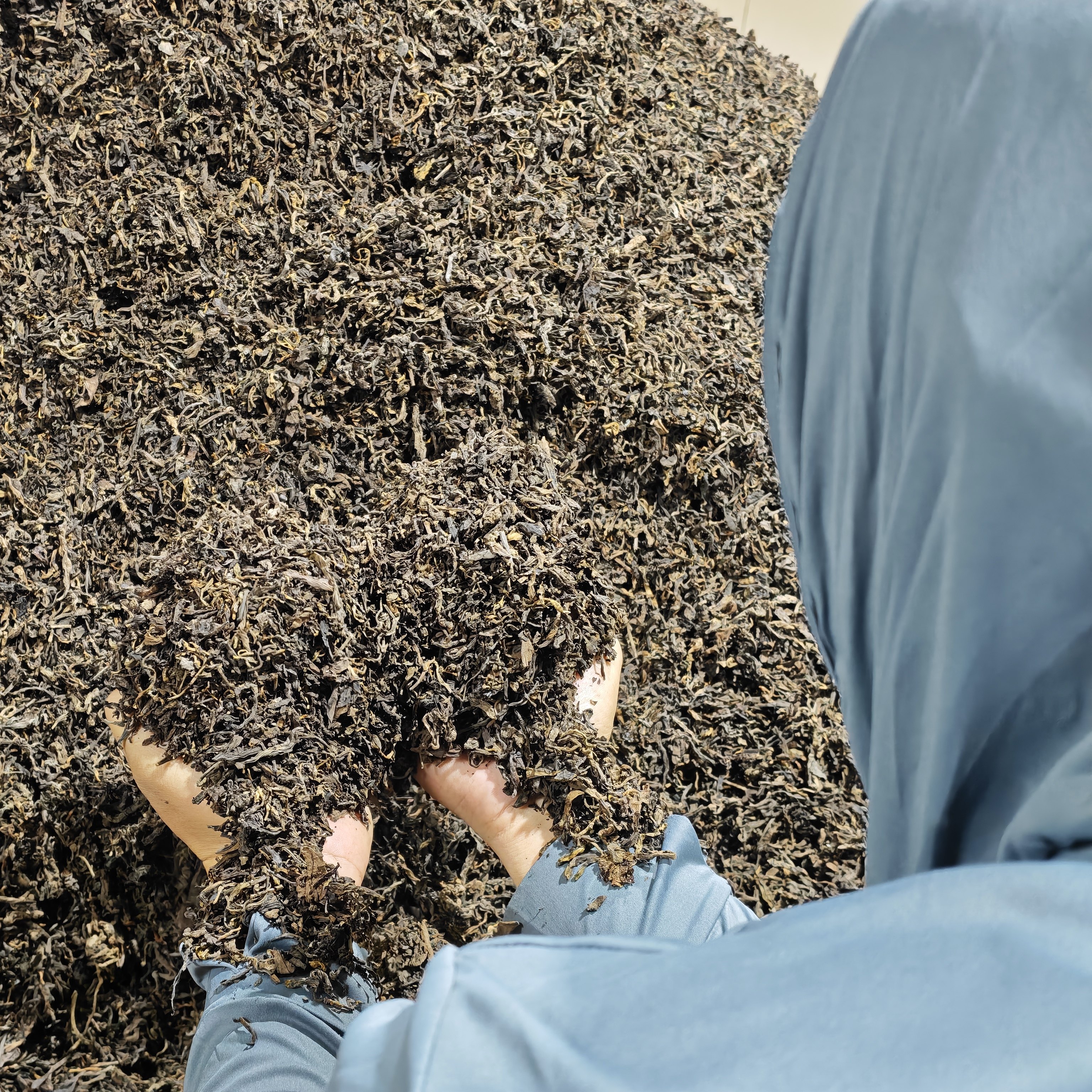 非遗传承权记号与南糯茶农朴喆茶厂同创普洱老熟茶1号357克饼茶