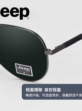 男士复古太阳镜经典款飞行员墨镜大框开车驾驶偏光高清遮阳A6318