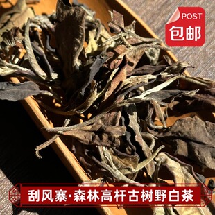 荒野白茶 云南易武刮风寨森林高杆野生古树白茶散茶生晒200克袋装