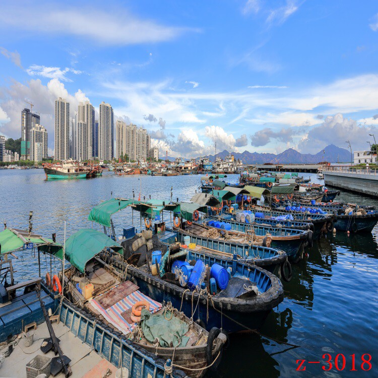 主播直播背景布大海边渔船码头海鲜带货直播背景墙挂画布3d立体