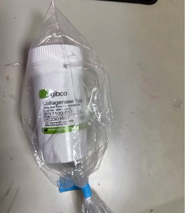 赛默飞gibco胶原酶 I型17100017 II型17101015