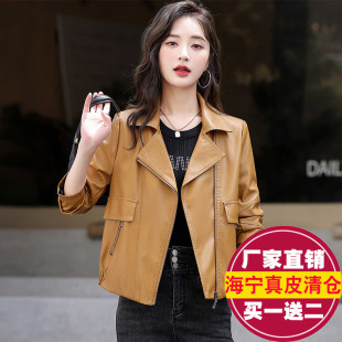 领大码 绵羊皮西装 外套 宽松机车皮夹克2025秋冬新款 真皮皮衣女短款