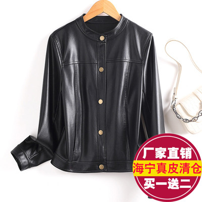 真皮皮衣女短款绵羊皮圆领皮夹克