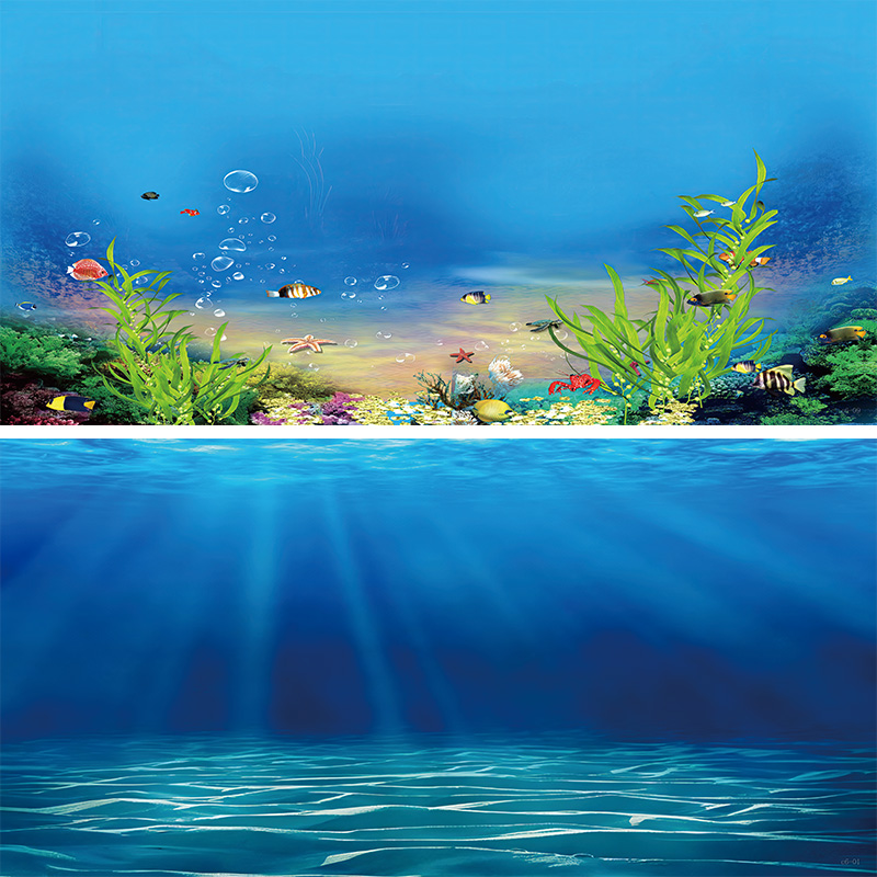 新款鱼缸背景贴纸背景画正面胶造景3D高清立体壁纸装饰画尺寸定制图片