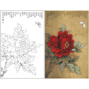 【有步骤、大彩图】李晓明工笔画白描底稿牡丹《王红白粉蝶》KD18