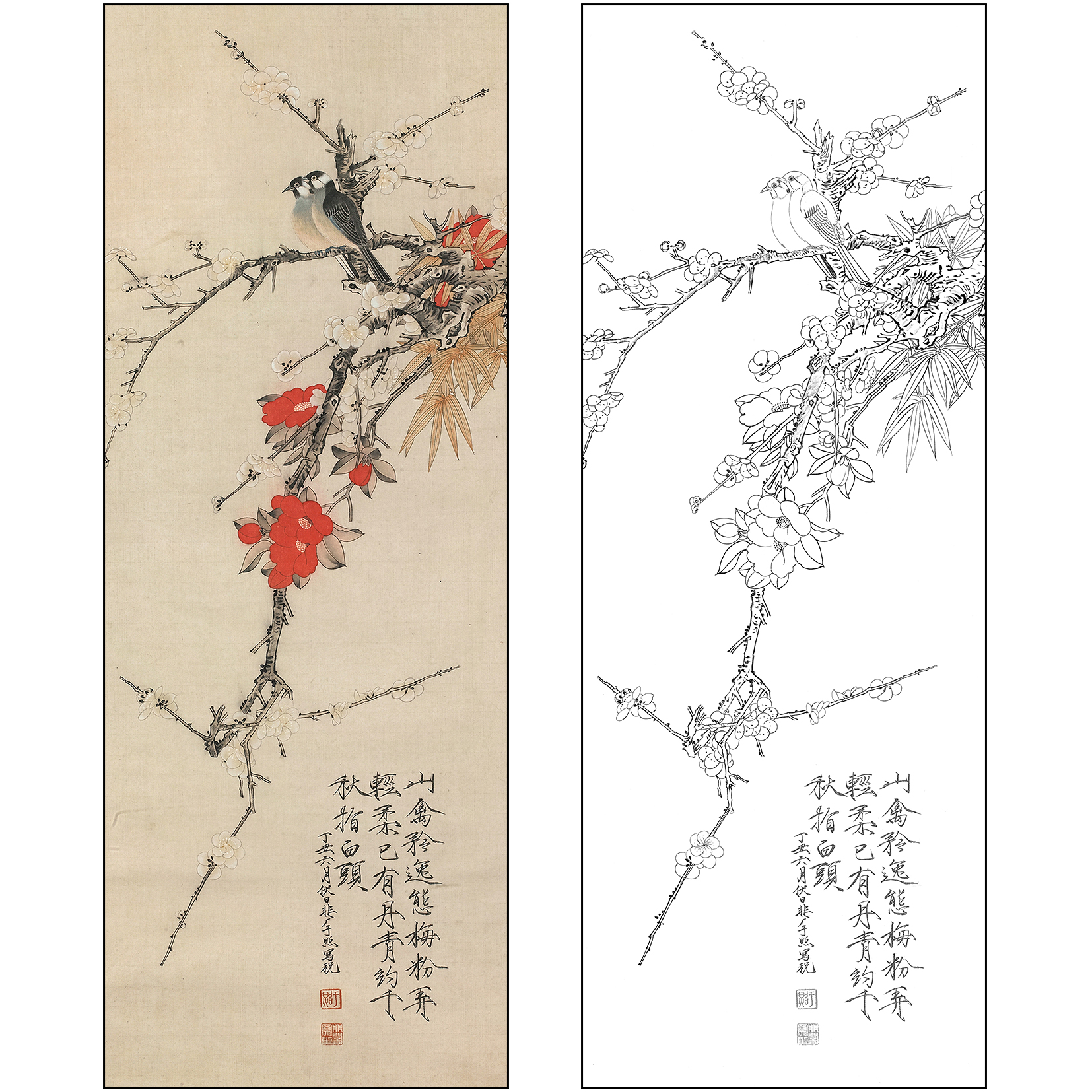 于非闇花鸟工笔画白描底稿《工笔花鸟》临摹勾线高清打印稿FA08