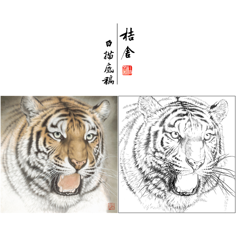 【大彩图】孟祥顺工笔画白描底稿斗方《老虎头》临摹动物线稿A640