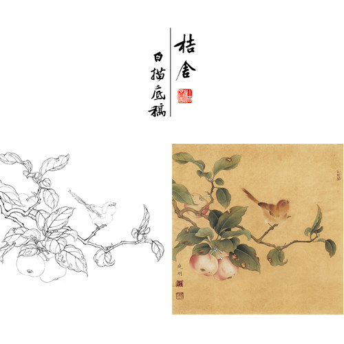 【有步骤、大彩图】工笔画白描稿《果熟来禽图》山雀花鸟线稿KC29