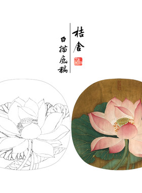 步骤图工笔画白描底稿