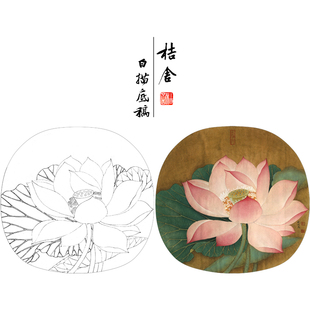 【有步骤、大彩图】李晓明工笔画白描底稿荷花《出水芙蓉图》KC28