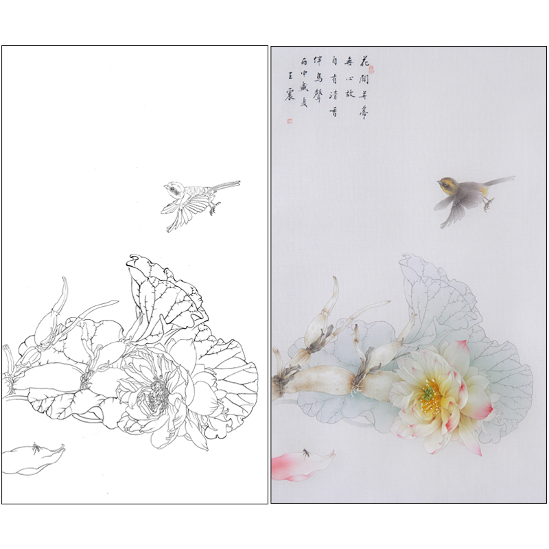 【有步骤】王震工笔画白描底稿没骨画荷花莲藕图《自有清香》WZ09