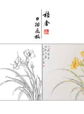 【有步骤】王震工笔画白描底稿斗方小品《忘忧》萱草花鸟线稿WZ22