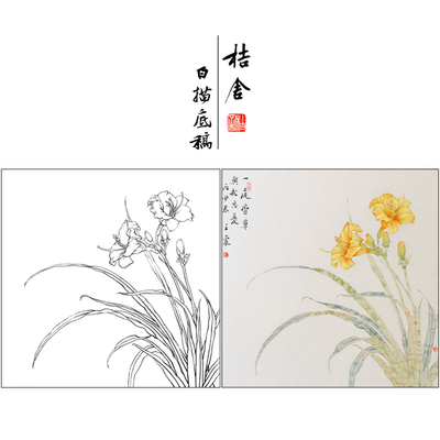 【有步骤】王震工笔画白描底稿斗方小品《忘忧》萱草花鸟线稿WZ22