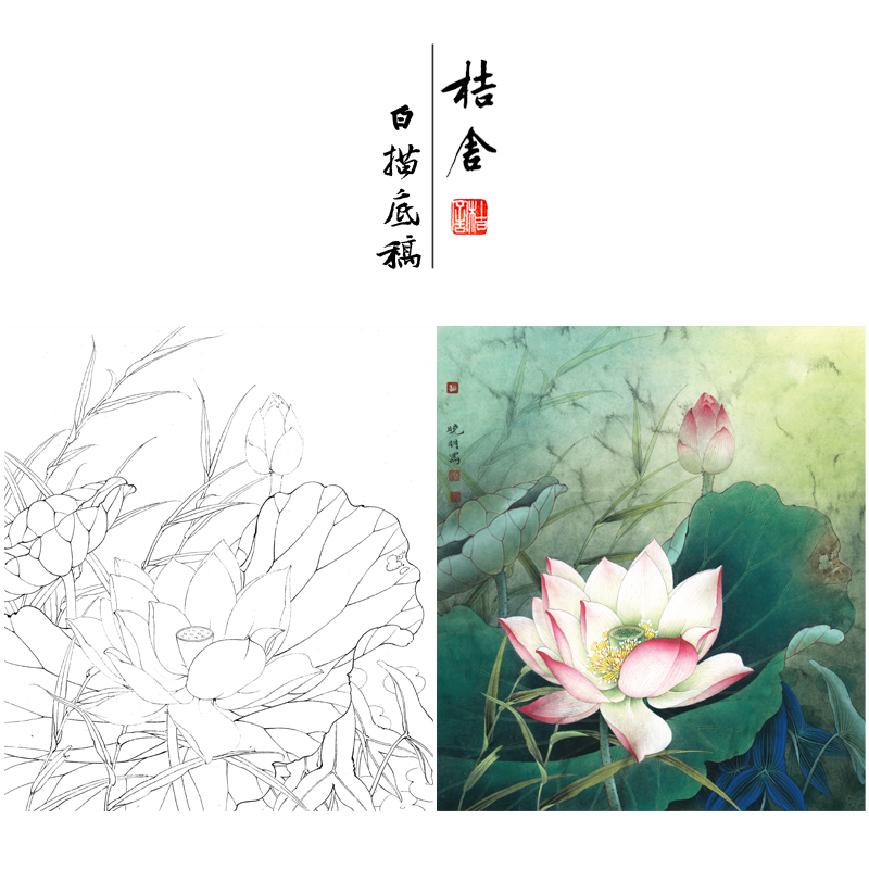 【有步骤,大彩图】李晓明工笔画白描底稿荷花图《粉荷清幽》kb19