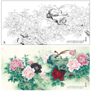 【大彩图】李晓明横幅工笔画白描底稿《群芳谱》牡丹花鸟线稿KA25
