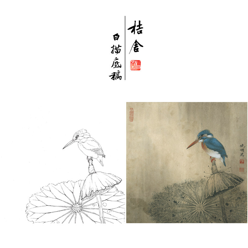 【有步骤,大彩图】工笔画白描底稿《独立寒秋》翠鸟花鸟线稿kb16
