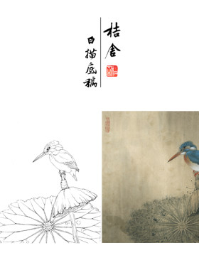 【有步骤、大彩图】工笔画白描底稿《独立寒秋》翠鸟花鸟线稿KB16