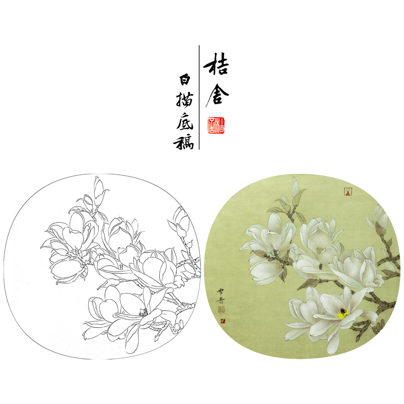 【大彩图】龚雪青工笔画白描底稿小品《玉兰花》临摹花鸟线稿XQ13