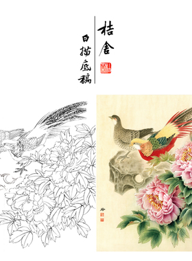 【有步骤、大彩图】郑玲玲工笔画白描稿锦鸡牡丹《锦色花开》ZL04