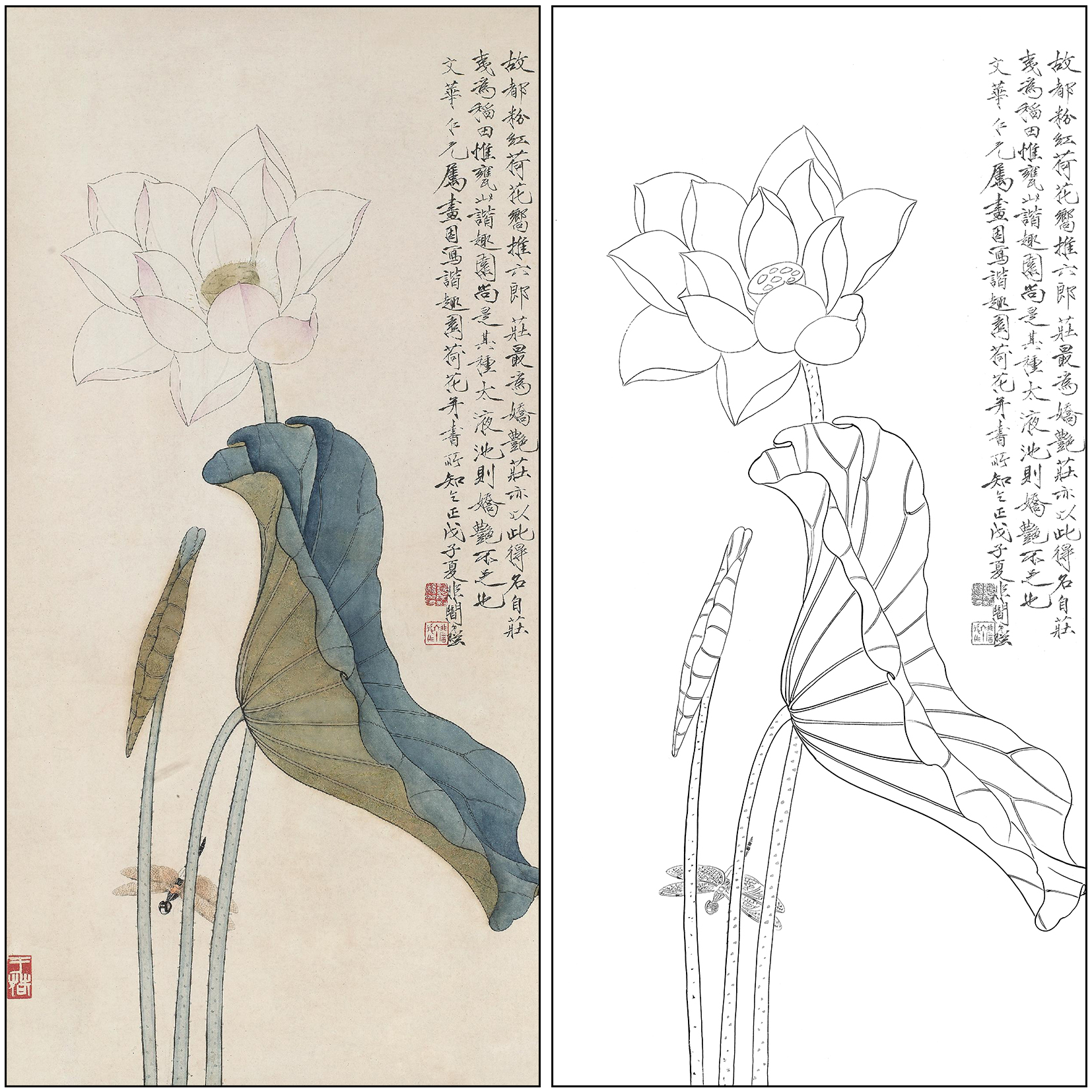 工笔画白描底稿于非闇花鸟荷花《荷花蜻蜓》临摹高清打印稿FA50