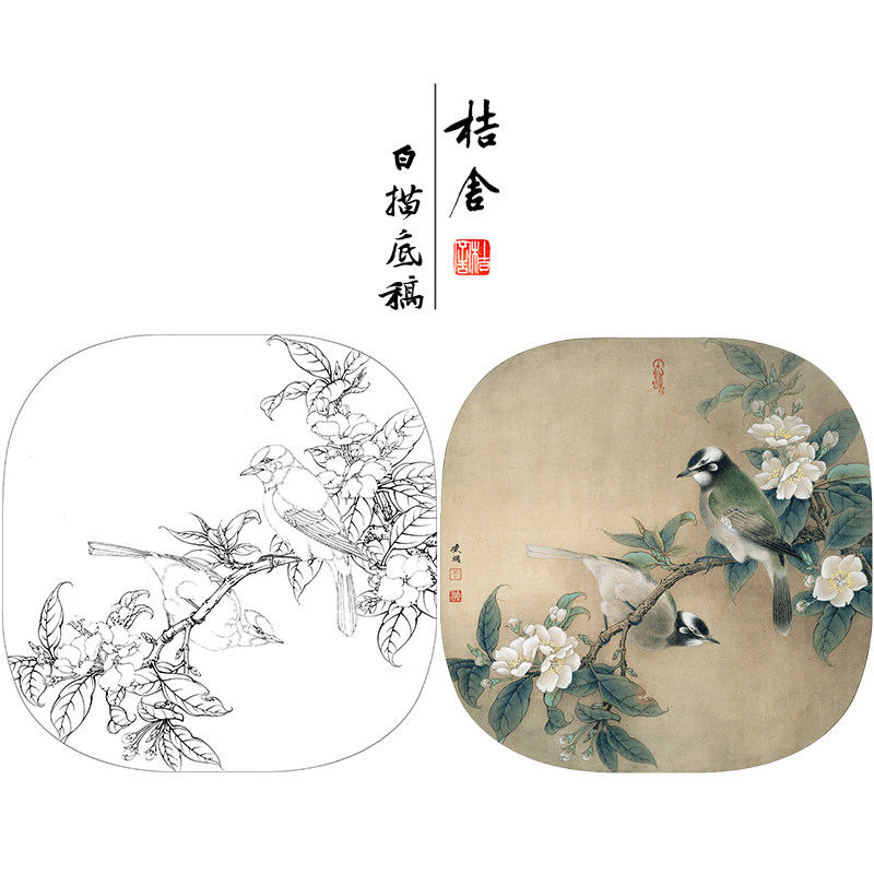 【有步骤、大彩图】工笔画白描底稿小品《海棠白头》花鸟线稿KG09