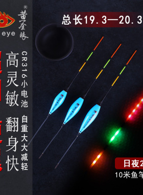 黄金眼浅水夜光漂超细硬尾浮漂LED超亮电子漂316电池夜钓漂