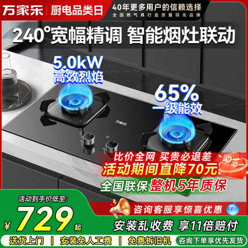 万家乐5.0kW燃气灶双灶