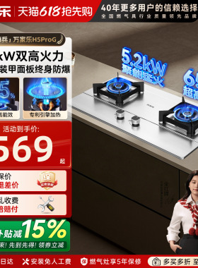 万家乐H5Pro(G)不锈钢燃气灶双灶台天然液化气灶嵌入煤气家用AY8G