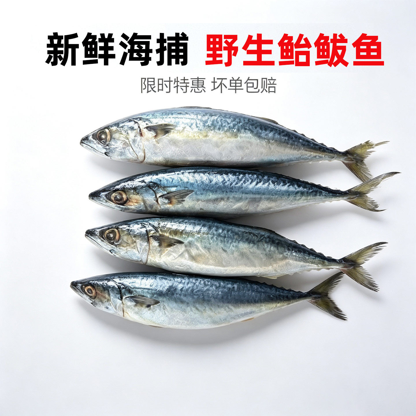 鲐鲅鱼新鲜速冻青占鱼整条深海青花鱼鲐鱼商用鲭鱼批发净重无冰衣